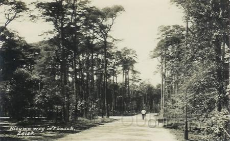 Pr. Bernardln-1940-001.jpg - Nieuwe weg in 't bosch. Deze weg heette tot 1945 Kerckeboschpad. Het was vroeger een smal pad maar in 1940 werd er een nieuwe weg aangelegd om een betere verbinding met Kerckebosch te maken. Op 5 oktober 1945 werd de weg omgedoopt in Prins Bernardlaan. Gezien vanaf Tussen de Dennen, links de Jan Willem Frisolaan. Foto gemaakt in 1940.